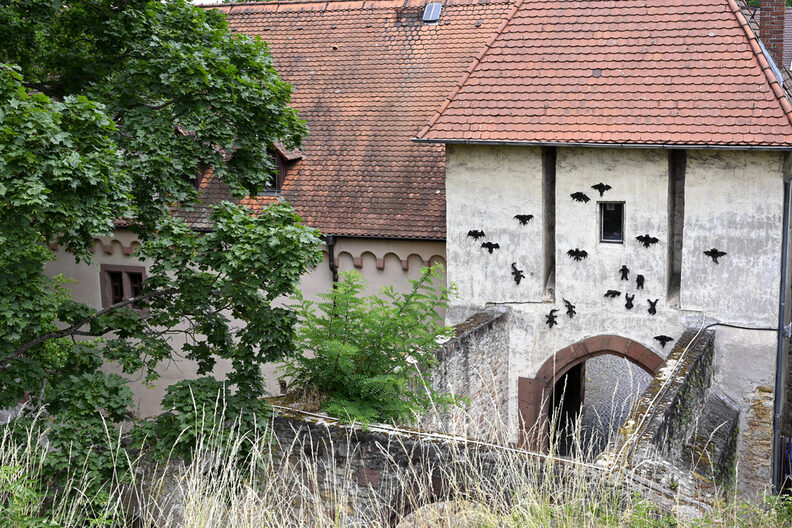 Eingangstor zur Festung mit darüber an der Wand angebrachten metallenen Fledermäusen