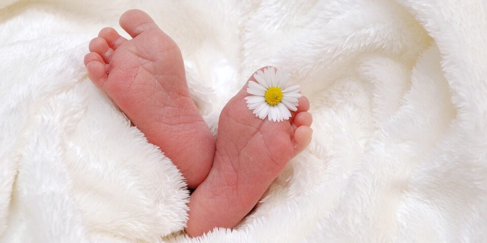 Babyfüße halten ein Gänseblümchen zwischen den Zehen. Um die Füße ist eine weiße Kuscheldecke gewickelt.