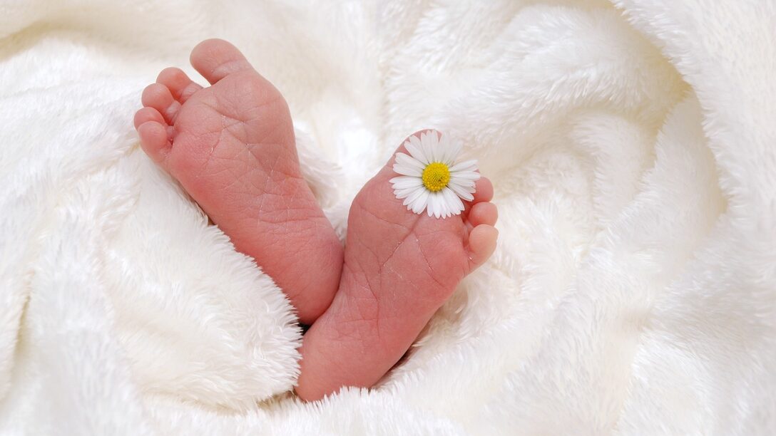 Babyfüße halten ein Gänseblümchen zwischen den Zehen. Um die Füße ist eine weiße Kuscheldecke gewickelt.