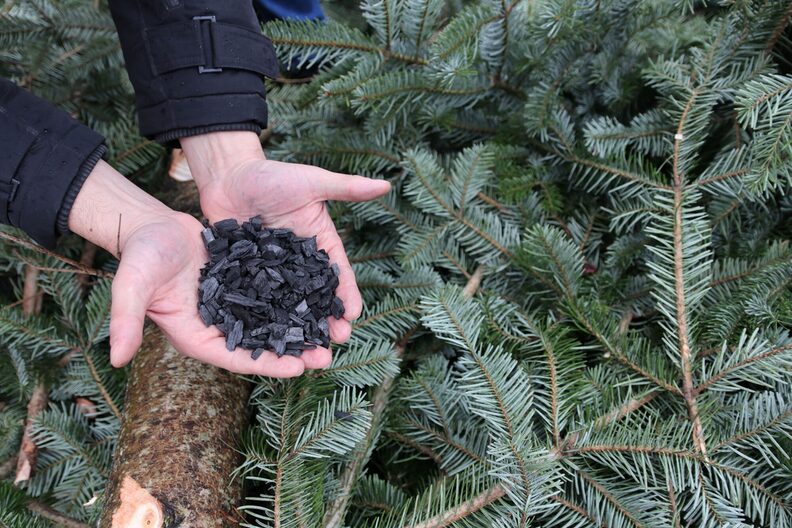 In Händen ist Pflanzenkohle zu sehen, zu der das Holzmaterial verarbeitet werden soll.