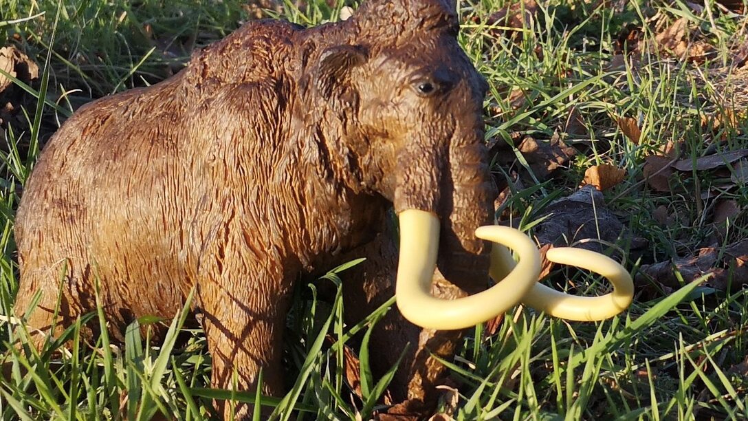 Ein Spielzeug-Mammut steht im Gras.