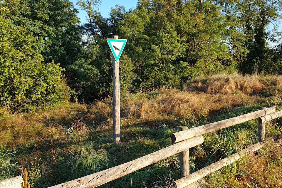 Ein Schild an der Sanddüne weist auf das Naturschutzgebiet hin