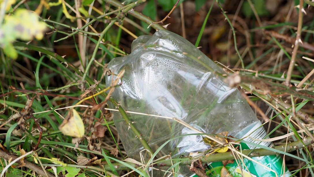 Plastikflasche zwischen Gras und Dornen