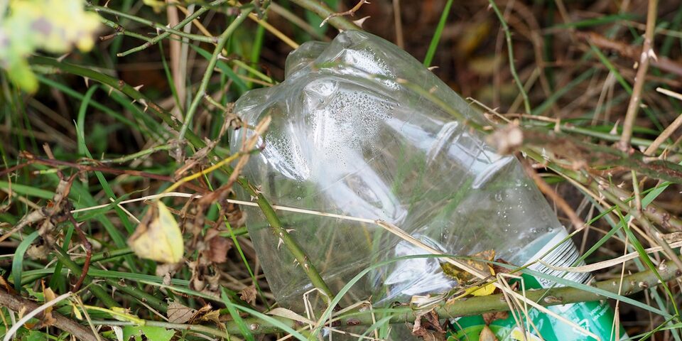 Plastikflasche zwischen Gras und Dornen