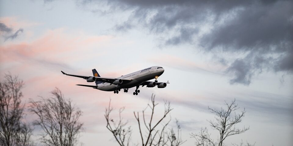 Flugzeug der Lufthansa fliegt über karge Baumwipfel