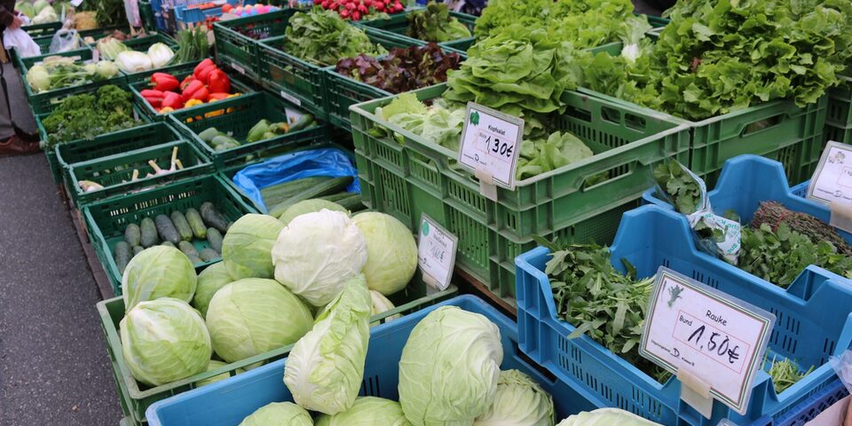 Auslage eines Standes am Rüsselsheimer Wochenmarkt: Salatköpfe, verschiedene Kohlsorten, Gukrn, Radieschen, Paprike uvm.