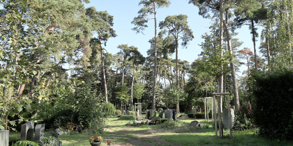 Ein Bild des Waldfriedhofs in Rüsselsheim. In der Mitte ist ein Weg, drumherum Bäume, unten Links ein Grab mit Grabschmuck, weiter hinten weitere Gräber.