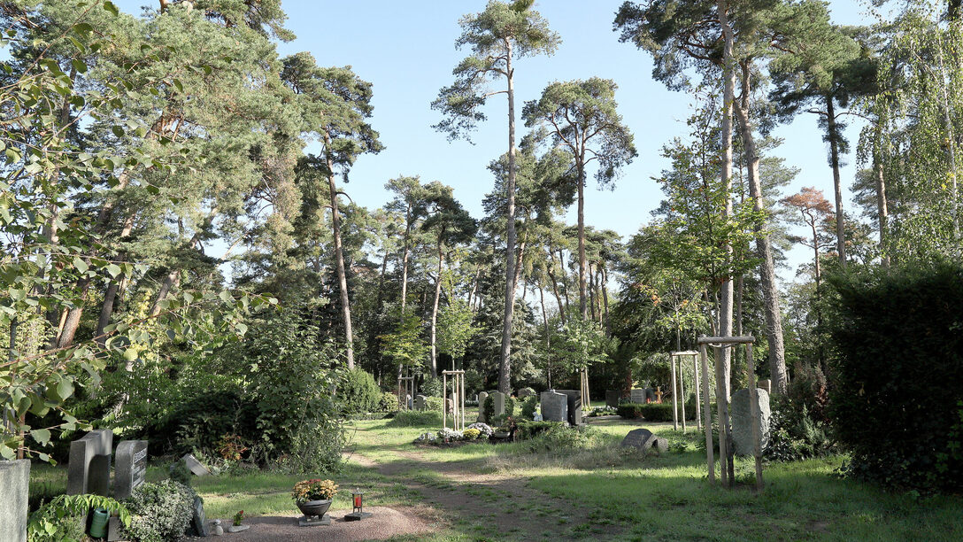 Ein Bild des Waldfriedhofs in Rüsselsheim. In der Mitte ist ein Weg, drumherum Bäume, unten Links ein Grab mit Grabschmuck, weiter hinten weitere Gräber.