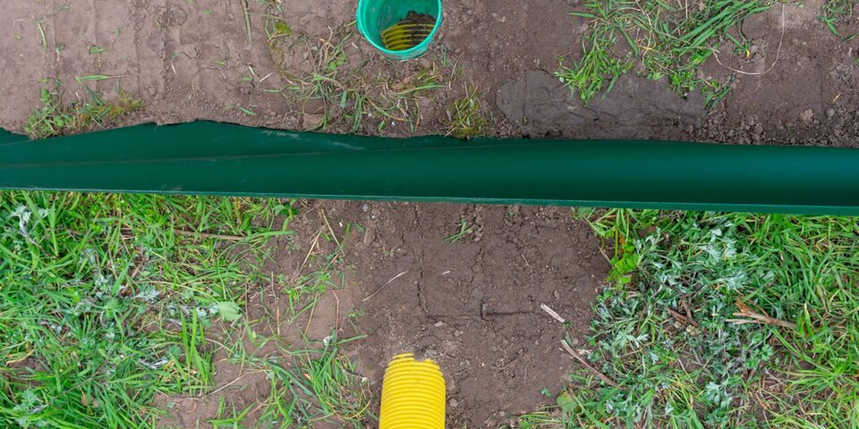 Über eine glatte grüne Röhre können Eidechsen in einer gerippte gelbe Röhre in den Außenbereich gelangen.