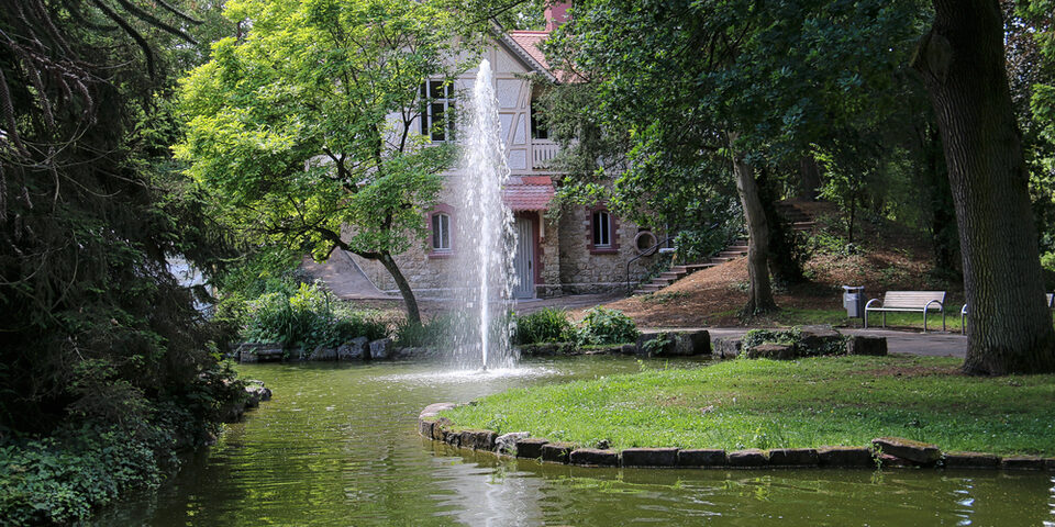 Das Foto zeigt die Alte Mühle im Verna Park
