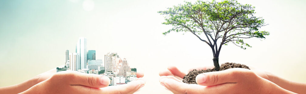 Konzept des Weltumwelttags: Zwei menschliche Hände, die einen großen Baum und eine Stadt über verschwommenem Naturhintergrund halten