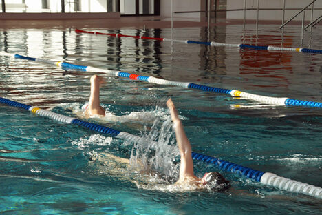 Foto: Schwimmer kraulen im Schwimmbecken