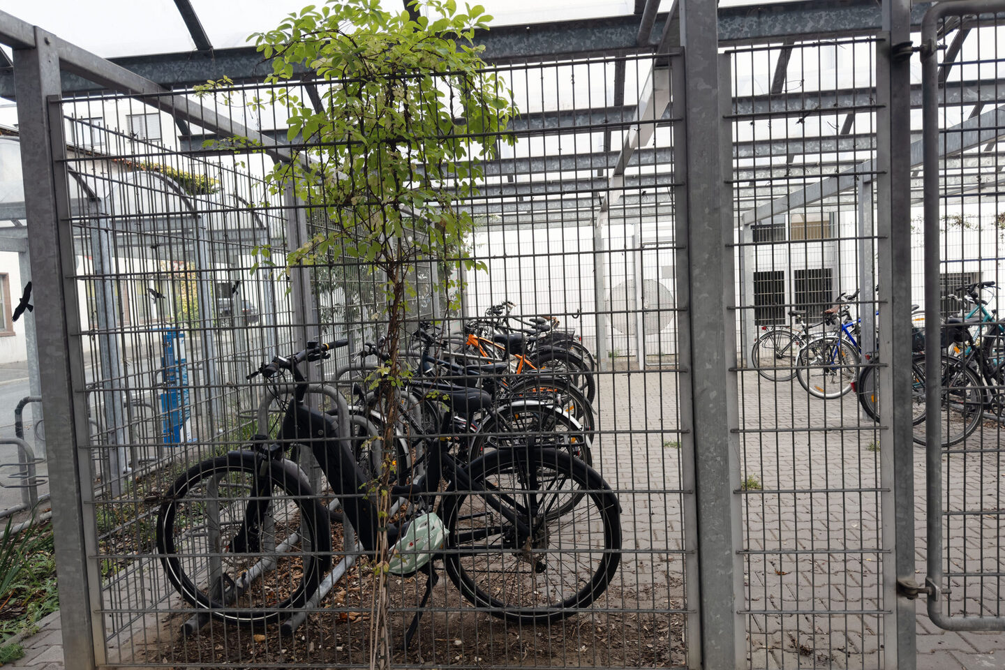 Begrünte Fahrrad-Abstellanlage am Rathaus