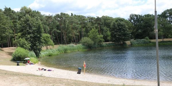 Blick vom Ufer auf den See im Waldschwimmbad