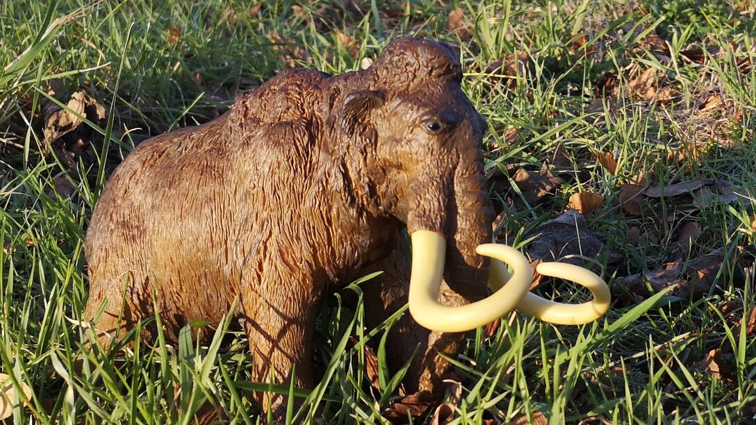 Mammut im Gras