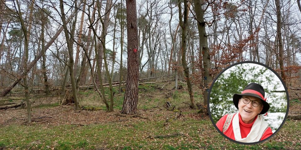 Porträtfoto von Wilma Held, im Hintergrund sind Bäume im Wald zu sehen